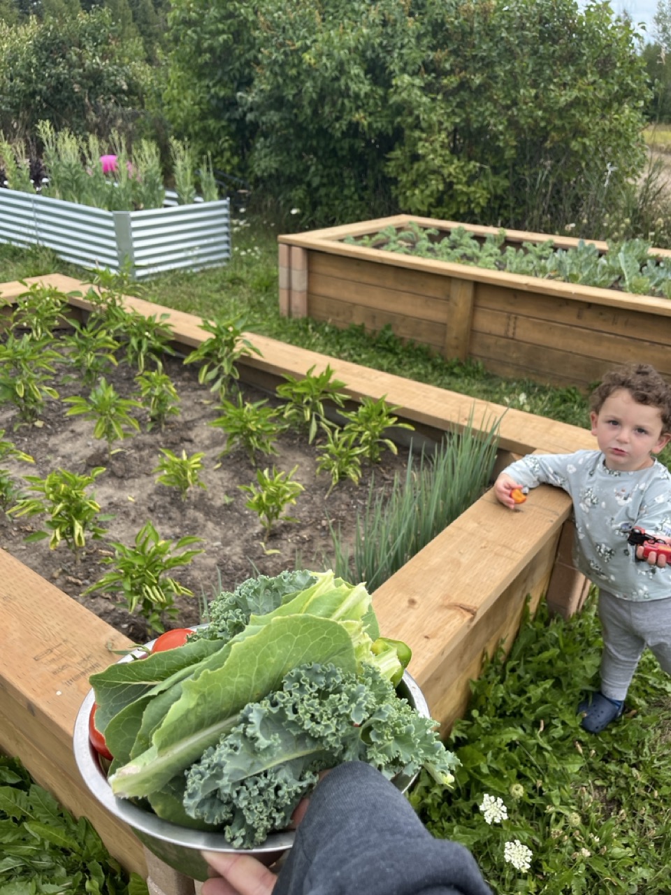 Next generation in the garden